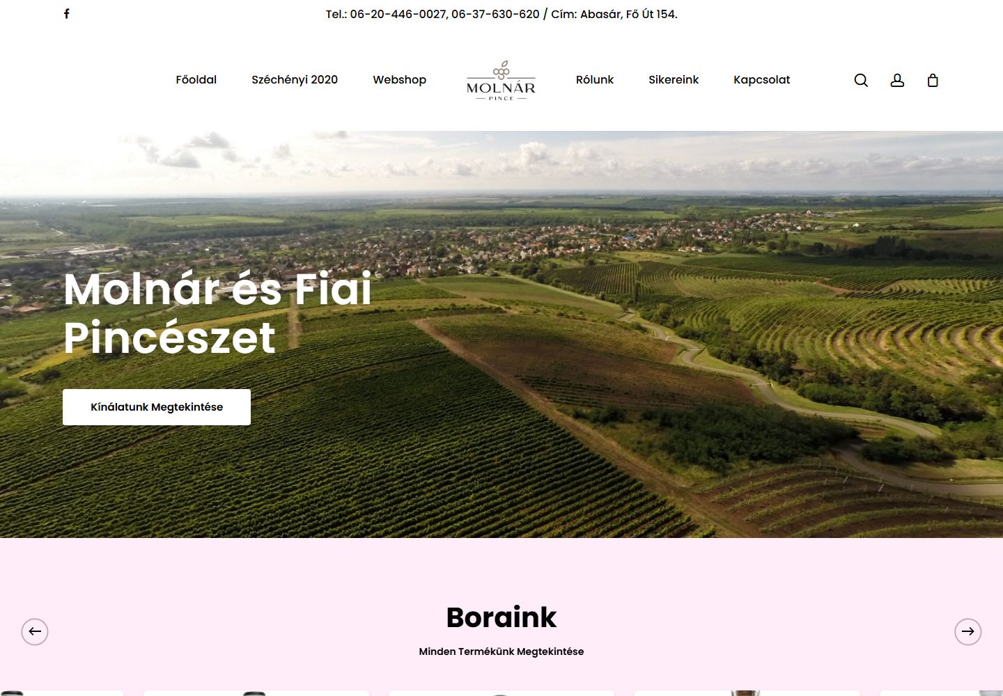 Molnár és Fiai weboldal előnézete
